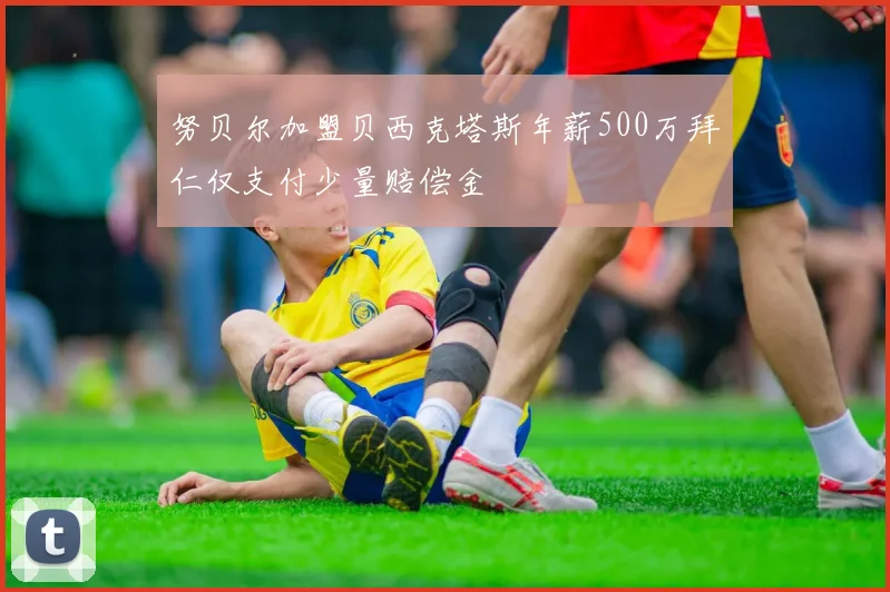 努贝尔加盟贝西克塔斯年薪500万拜仁仅支付少量赔偿金