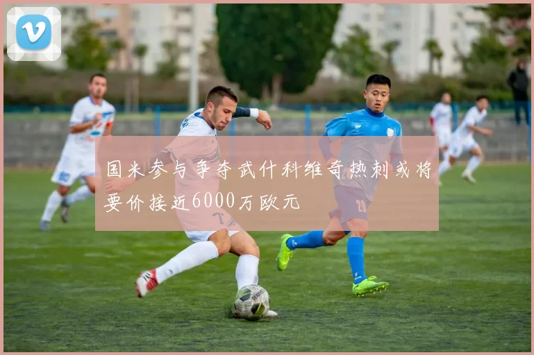 国米参与争夺武什科维奇热刺或将要价接近6000万欧元