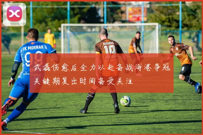 武磊伤愈后全力以赴备战海港争冠关键期复出时间备受关注